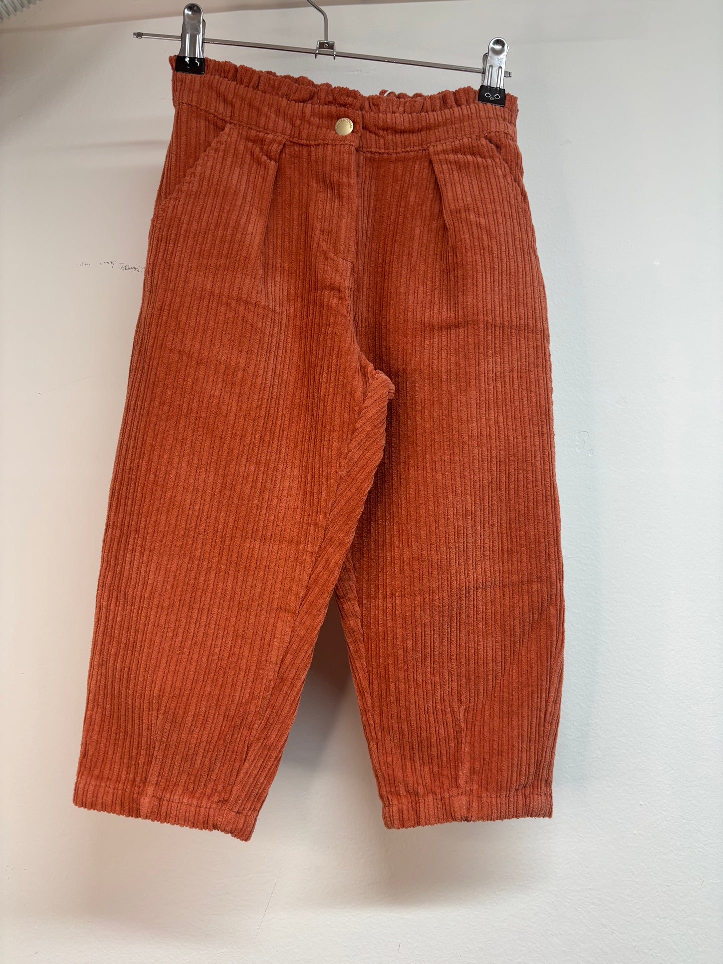 Pantalone mattone velluto