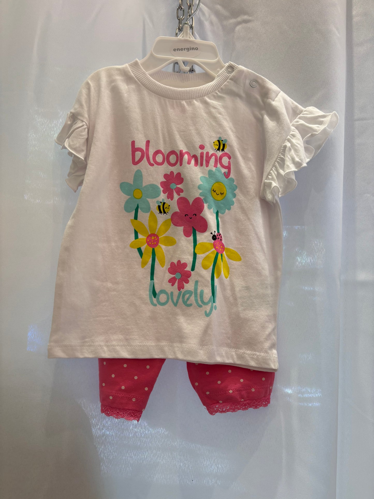 Completo blooming