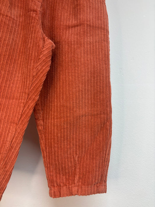 Pantalone mattone velluto